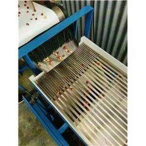 Nut Processing Unit